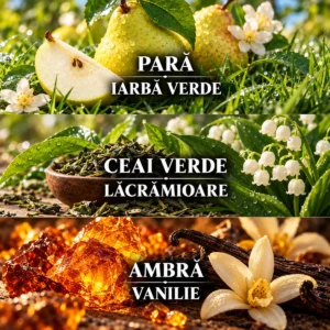 Notele parfumului French Riviera